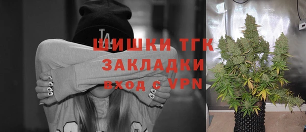 шишки Армянск