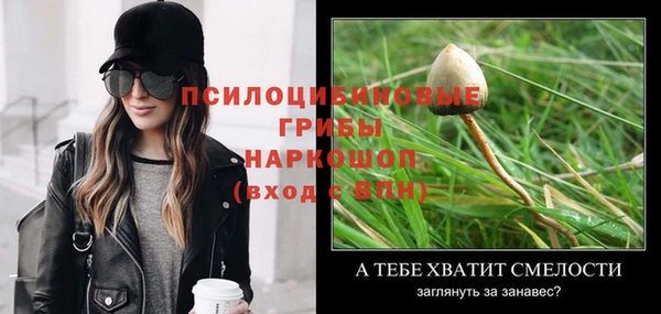 стаф Баксан