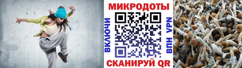 Купить где  Зея  Псилоцибиновые грибы мухоморы 